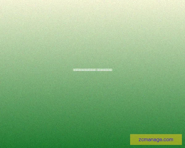 蓝拳武器选择解析与战斗技巧探讨 让你掌握完美战斗策略